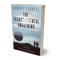 Tablet view of Heather #21401 - Premade Apocalyptica Book Cover