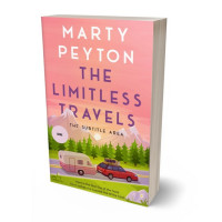 3D view of Sea Pink #21558 - Premade Literary Fiction Book Cover