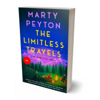 3D view of Hopbush #21559 - Premade Literary Fiction Book Cover