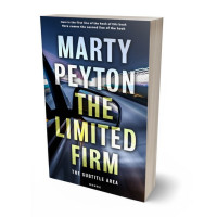 3D view of Premade Action & Adventure Book Cover - Tana