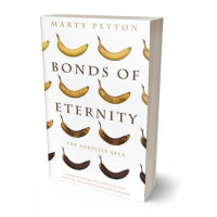 Tablet view of Quincy #21726 - Premade Literary Fiction Book Cover