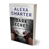 3D view of Baltic Sea #22012 - Premade Mystery & Thriller & Suspense Book Cover