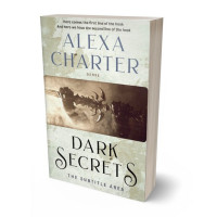 Tablet view of Moon Mist #22038 - Premade Historical Book Cover