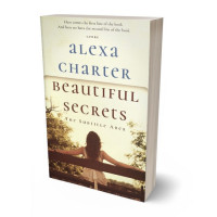 Tablet view of Rock #22044 - Premade Literary Fiction Book Cover | BookCoverZone