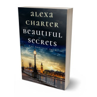 3D view of Sorrell Brown #22049 - Premade Literary Fiction Book Cover