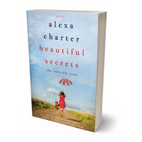 Tablet view of Periwinkle Gray #22059 - Premade Travel Book Cover | BookCoverZone