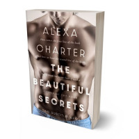 Tablet view of Silk #22062 - Premade Erotica Book Cover