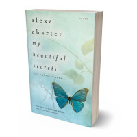 Tablet view of Edgewater #22081 - Premade Abstract Book Cover