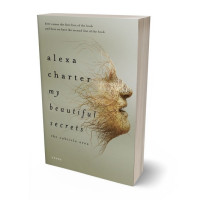 Tablet view of Gray Olive #22091 - Premade Abstract Book Cover