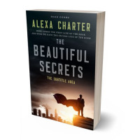 3D view of Premade Business Book Cover - Sorrell Brown