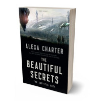 3D view of Premade Science Fiction Book Cover - Woodsmoke