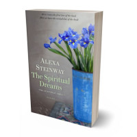 Tablet view of Rolling Stone #22233 - Premade Literary Fiction Book Cover