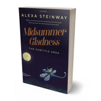 3D view of Mirage #22249 - Premade Surreal Book Cover