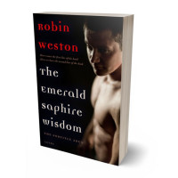 Tablet view of Oriental Pink #22465 - Premade Erotica Book Cover