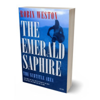 3D view of Premade Fantasy Book Cover - Madison