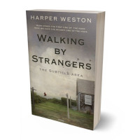 Tablet view of Flint #22775 - Premade Literary Fiction Book Cover | BookCoverZone