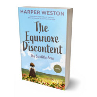 Tablet view of Blizzard Blue #22786 - Premade Teen & Young Adult Book Cover