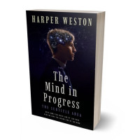 3D view of Ebony #22803 - Premade Self-Improvement & Self-Help Book Cover