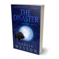 3D view of Premade Fantasy Book Cover - Bunting