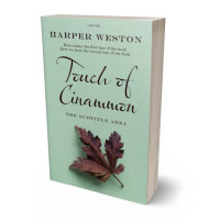 Tablet view of Spring Rain #22873 - Premade Fantasy Book Cover