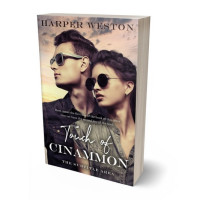 Tablet view of Thunder #22884 - Premade Romance Book Cover