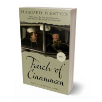 Tablet view of Hillary #22893 - Premade Literary Fiction Book Cover