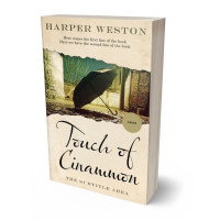 Tablet view of Rangitoto #22894 - Premade Mystery & Thriller & Suspense Book Cover