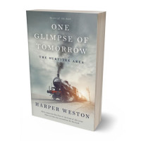 Tablet view of Mist Gray #22943 - Premade Historical Book Cover | BookCoverZone