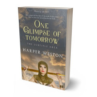 Tablet view of Chicago #22961 - Premade Fantasy Book Cover