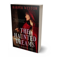 3D view of Asphalt #22988 - Premade Historical Book Cover