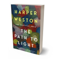 Tablet view of Armadillo #23041 - Premade Abstract Book Cover