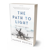 Tablet view of Black Haze #23055 - Premade Historical Book Cover