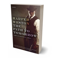 Tablet view of Cocoa Brown #23210 - Premade Mystery & Thriller & Suspense Book Cover