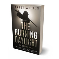 Tablet view of Soft Amber #23234 - Premade Fantasy Book Cover