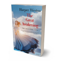 3D view of Pale Slate #23274 - Premade Romance Book Cover