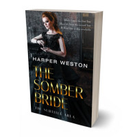 Tablet view of Woodsmoke #23322 - Premade Historical Book Cover