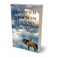 Tablet view of Slate Gray #23335 - Premade Historical Book Cover