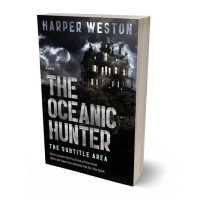 3D view of Silver Sand #23413 - Premade Mystery & Thriller & Suspense Book Cover | BookCoverZone