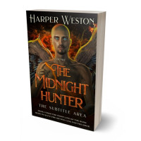 Tablet view of Night Rider #23430 - Premade Fantasy Book Cover