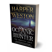 3D view of Premade Fantasy Book Cover - Woodsmoke