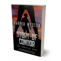 Tablet view of Gondola #23479 - Premade Romance Book Cover