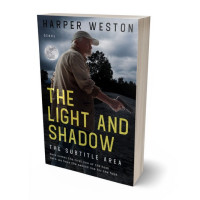 3D view of Taupe Gray #23605 - Premade Mystery & Thriller & Suspense Book Cover