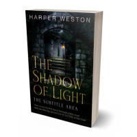 3D view of Premade Fantasy Book Cover - Woodsmoke