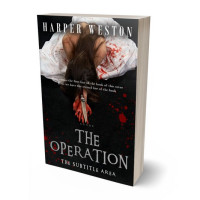 3D view of Silk #23823 - Premade Mystery & Thriller & Suspense Book Cover | BookCoverZone