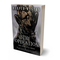 Tablet view of Cod Gray #23825 - Premade Abstract Book Cover