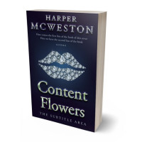 Tablet view of Mirage #23843 - Premade Erotica Book Cover