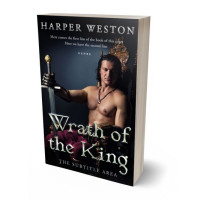 Tablet view of Woodsmoke #23850 - Premade Erotica Book Cover