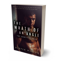 3D view of Premade Erotica Book Cover - Gondola