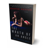 Tablet view of Woodsmoke #23952 - Premade Erotica Book Cover