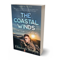 Tablet view of Shuttle Gray #24038 - Premade Mystery & Thriller & Suspense Book Cover